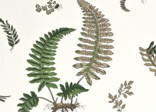 Фото - Обои G.P. and J.Baker Larkhill - 212435>