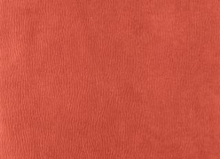 Фото - Ткани Houles Ginkgo - 465195>