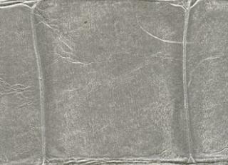 Фото - Обои Elitis Anguille - 257735>