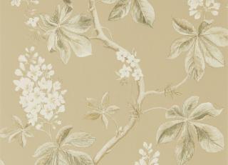 Фото - Салатовые флизелиновые обои на стену - 247950>