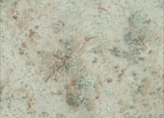 Фото - Обои York Wallcoverings Culture Club - 443529>