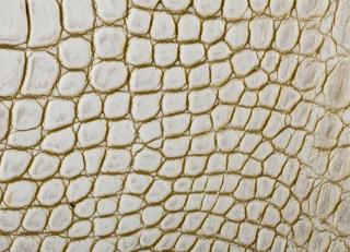 Фото - Аксессуары Pavoni Кожа Cocco - 588818>