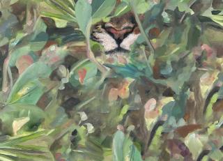 Фото - Обои Coordonne Naturae - 559375>