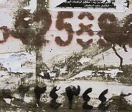 Фото - Ткани The Trendsetter Studio - 564563>