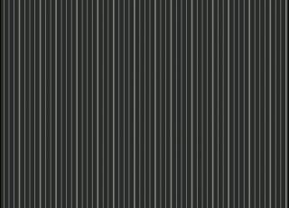 Фото - Обои Esta Home Regatta Crew - 340217>