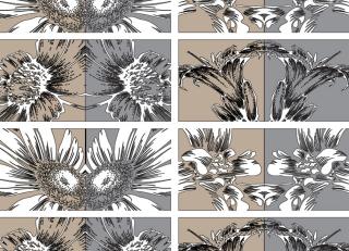 Фото - Обои Ango Linea Natural - 330848>