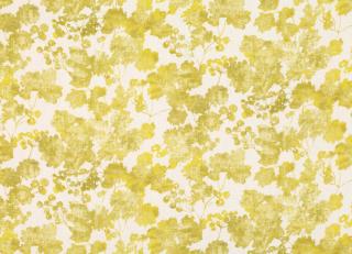 Фото - Ткани Romo Danton - 456869>