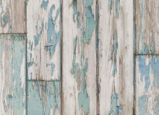 Фото - Обои Clarke&Clarke Wild Garden - 193833>