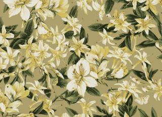 Фото - Обои на стену с цветами салатового цвета - 458880>