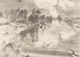 Фото - Обои Eijffinger Geonature - 351454>