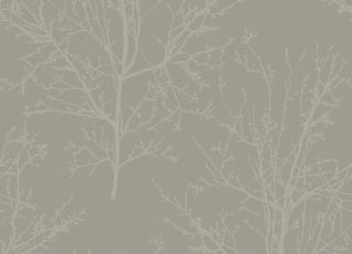 Фото - Обои Architector Black and White - 495653>