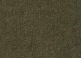 Фото - Ткани Holland & Sherry Musette - 631235>