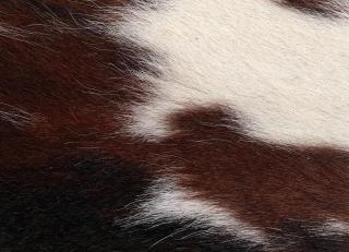 Фото - Аксессуары Pavoni Кожа Vitellina Pelo - 589061>