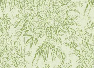 Фото - Обои Mindthegap Transylvanian Roots - 558963>