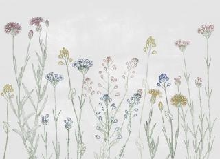 Фото - Обои Coordonne Instant - 580761>