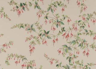 Фото - Обои Colefax and Fowler - 570379>