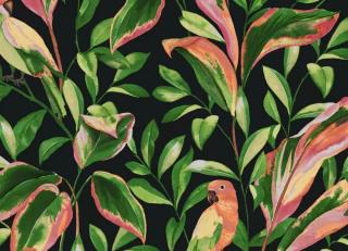 Фото - Обои York Wallcoverings Tropics - 548875>