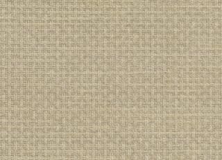 Фото - Ткани Rubelli Tekko - 592061>