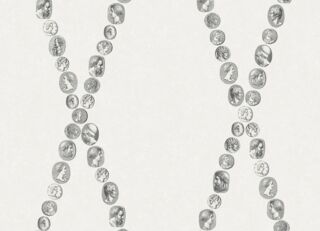 Фото - Обои Cole & Son Fornasetti Senza Tempo II - 626690>