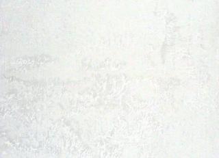 Фото - Обои Casadeco So White 3 - 557232>