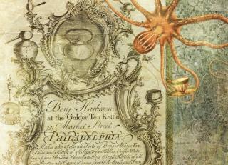 Фото - Обои Ortograf Эми Стюарт - 479980>