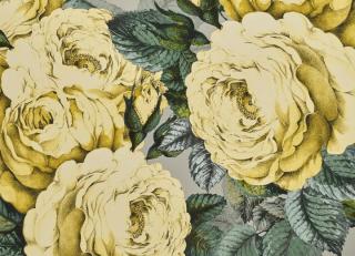 Фото - Обои Designers Guild John Derian - Picture Book - 412191>