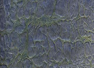 Фото - Итальянские бумажные обои - 342113>