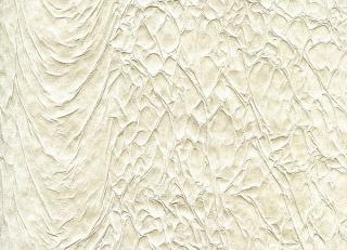 Фото - Обои Arlin Velawall - 342133>