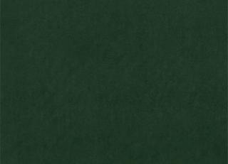 Фото - Ткани Clarke&Clarke Alvar 2 - 492756>