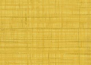 Фото - Обои Rubelli Paja Wall - 557964>