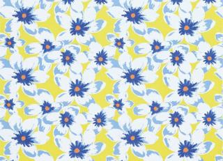 Фото - Ткани Sanderson Papavera Prints & Embroideries - 451856>