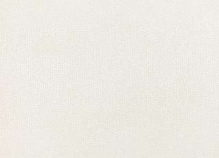 Фото - Ткани Villa Nova Loess Satins - 472303>