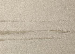 Фото - Ткани Dedar Orsetto - 549279>