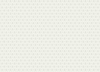 Фото - Обои Duro Smamonstrat - 608454>