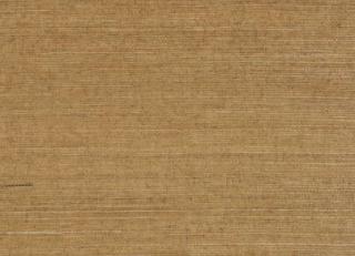 Фото - Обои Pierre Frey Graminees 1 - 312134>