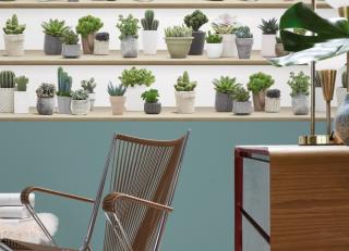 Фото - Обои Koziel Nature wallpapers - 326737>