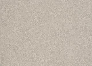 Фото - Обои Nobilis Esprit de Materieres - 415235>