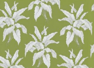 Фото - Обои Equipo DRT Encadenados - 559358>