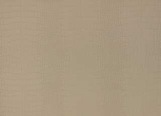 Фото - Ткани Kirkby design Hide Vegan Leathers - 631379>