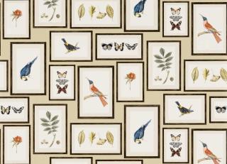 Фото - Обои Sanderson One Sixty Wallpapers - 513739>