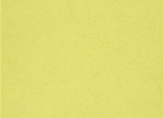 Фото - Обои Christian Lacroix The Edit Plains and Textures II - 576567>