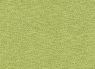 Фото - Ткани Rubelli Sharky - 624129>