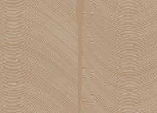 Фото - Обои Loymina Equilibre - 419444>