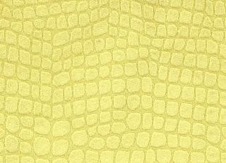 Фото - Ткани Designers Guild Kalahari - 261407>