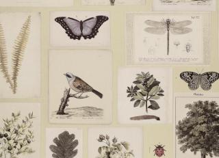 Фото - Обои Designers Guild John Derian - Picture Book - 412186>