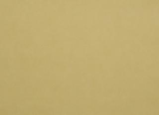 Фото - Обои Caselio Romarin - 231436>