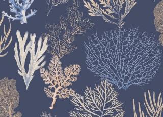 Фото - Ткани Casadeco Rivage Fabrics - 466479>