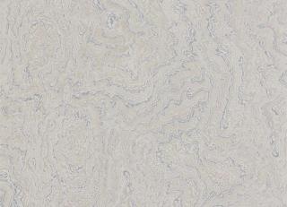 Фото - Обои Zoffany Oblique - 366875>