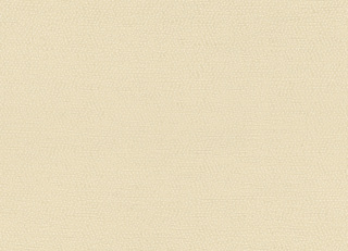 Фото - Ткани Rubelli Sharky - 624111>