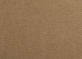 Фото - Ткани Antoine d'Albiousse Toile de Cocher - 480284>